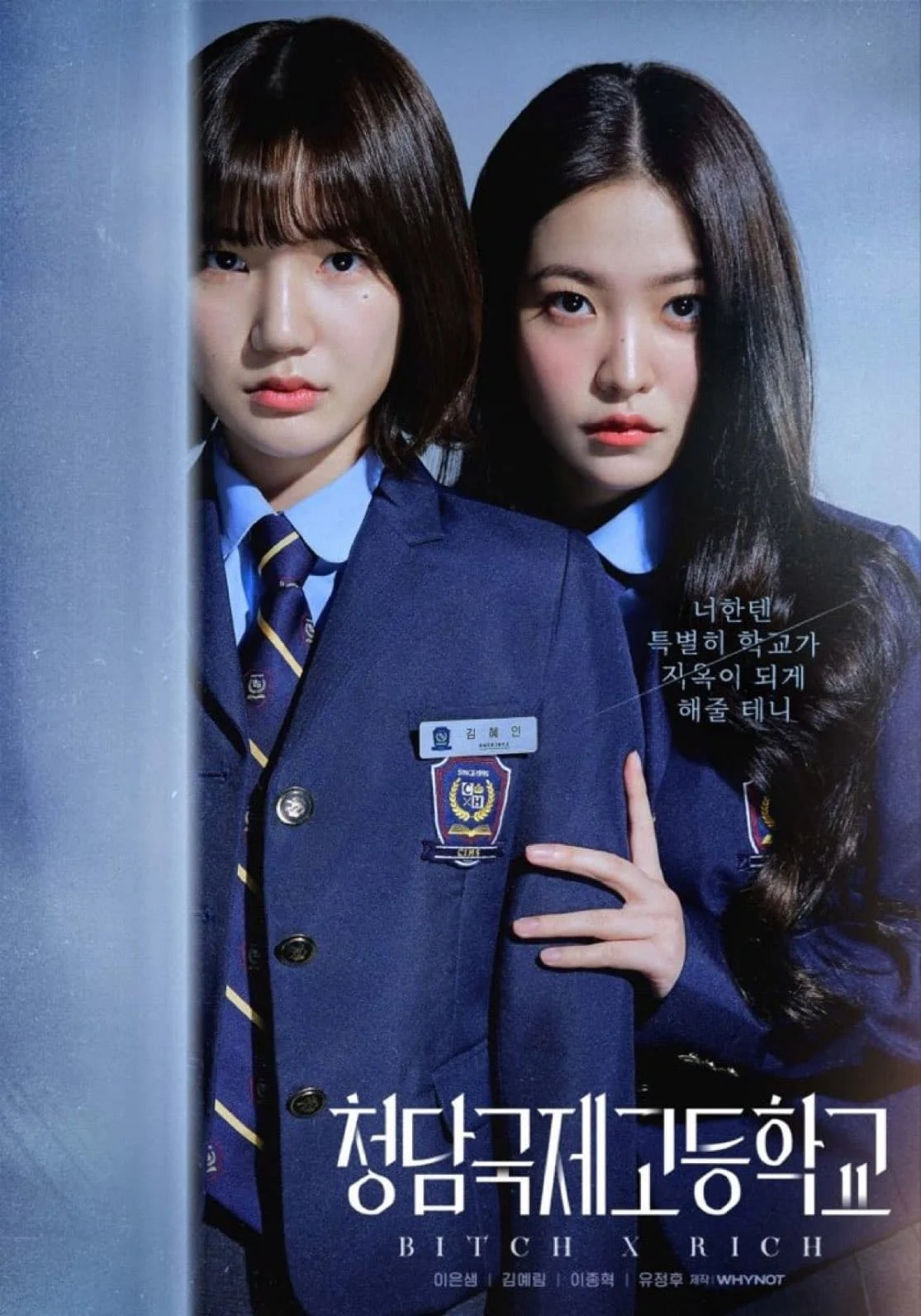 Poster phim Chị Đại Học Đường