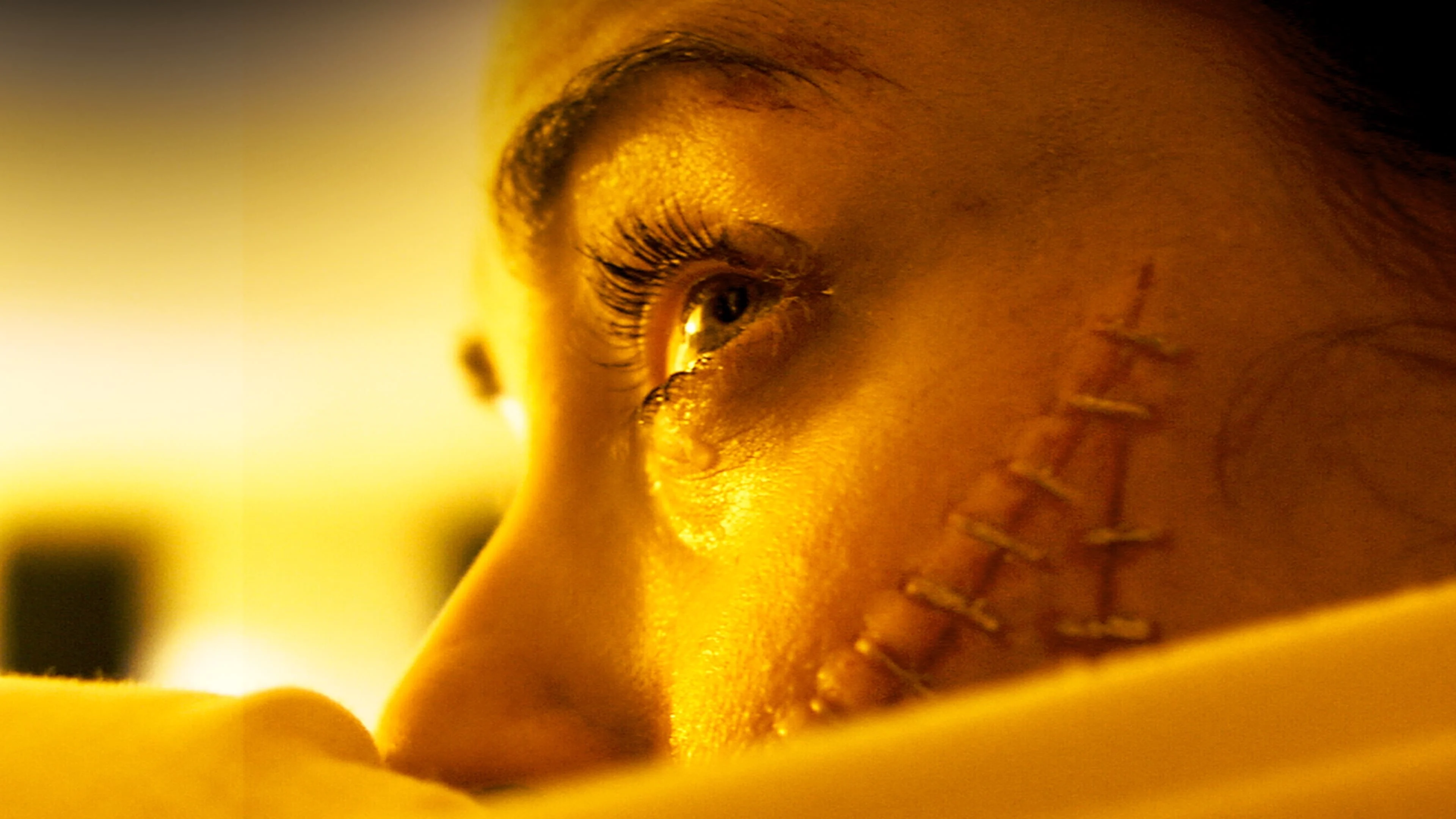 Con Rết Người (The Human Centipede (First Sequence))