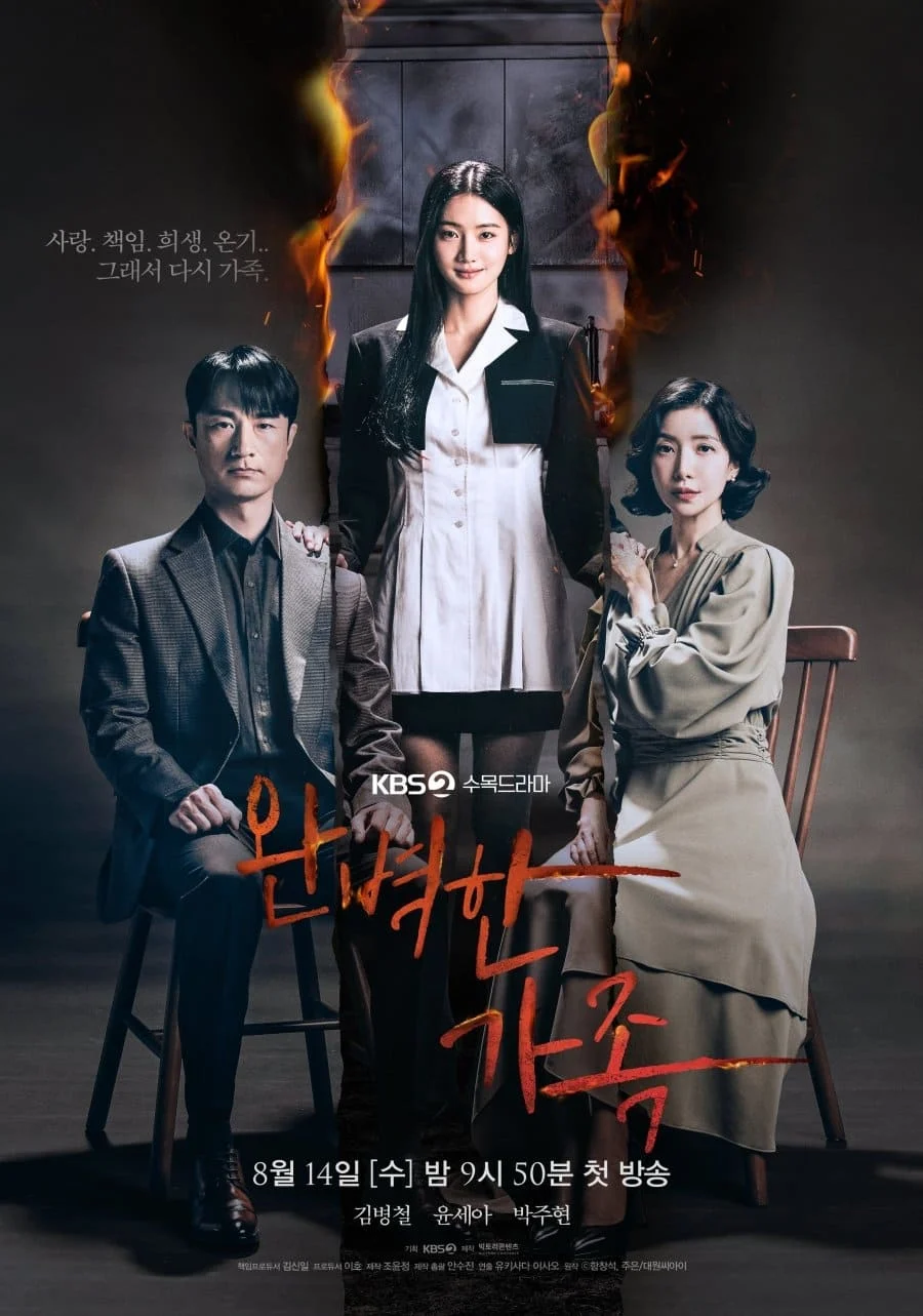 Poster phim Gia Đình Hoàn Hảo
