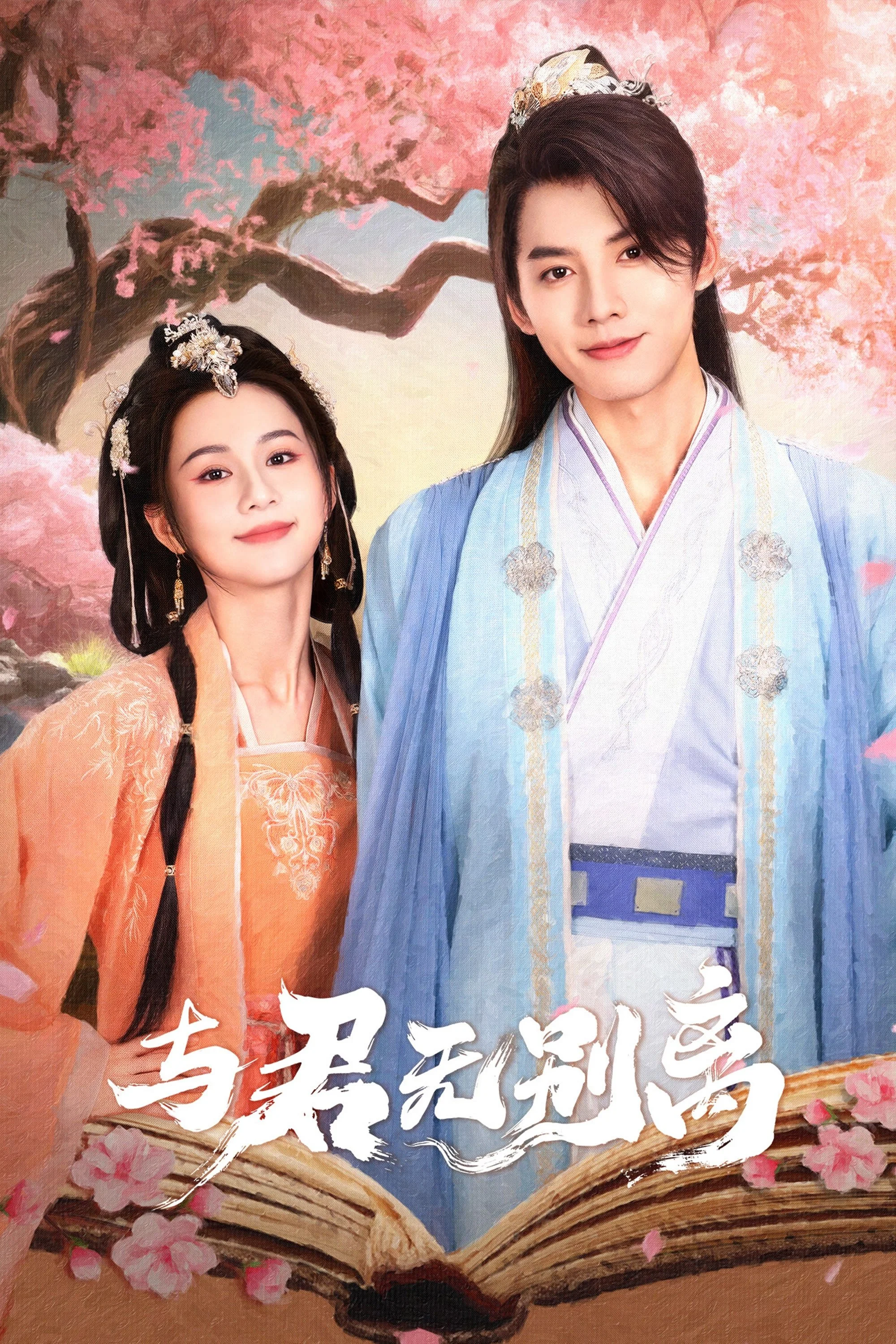 Poster phim Không Chia Xa Với Chàng