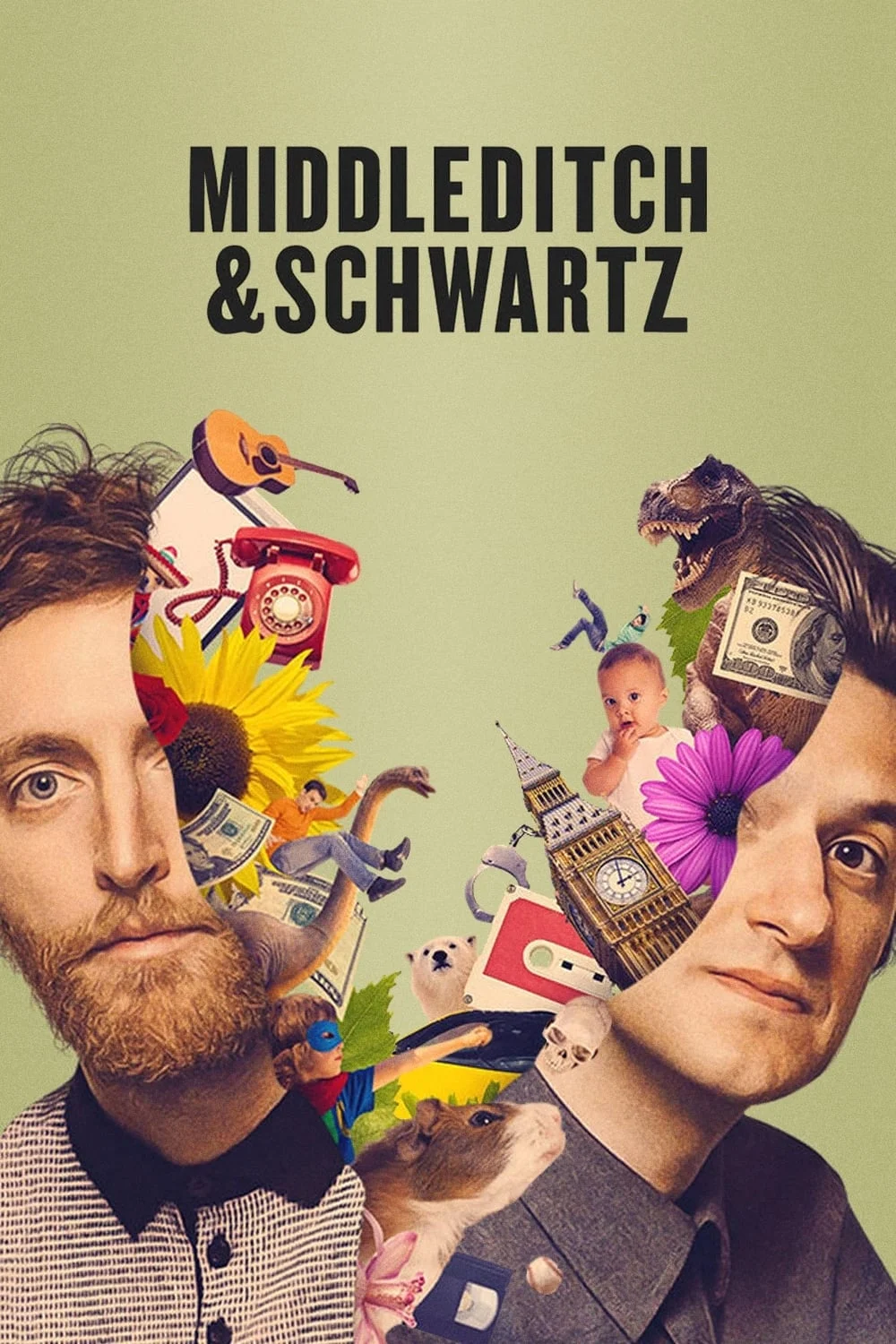 Poster phim Middleditch & Schwartz