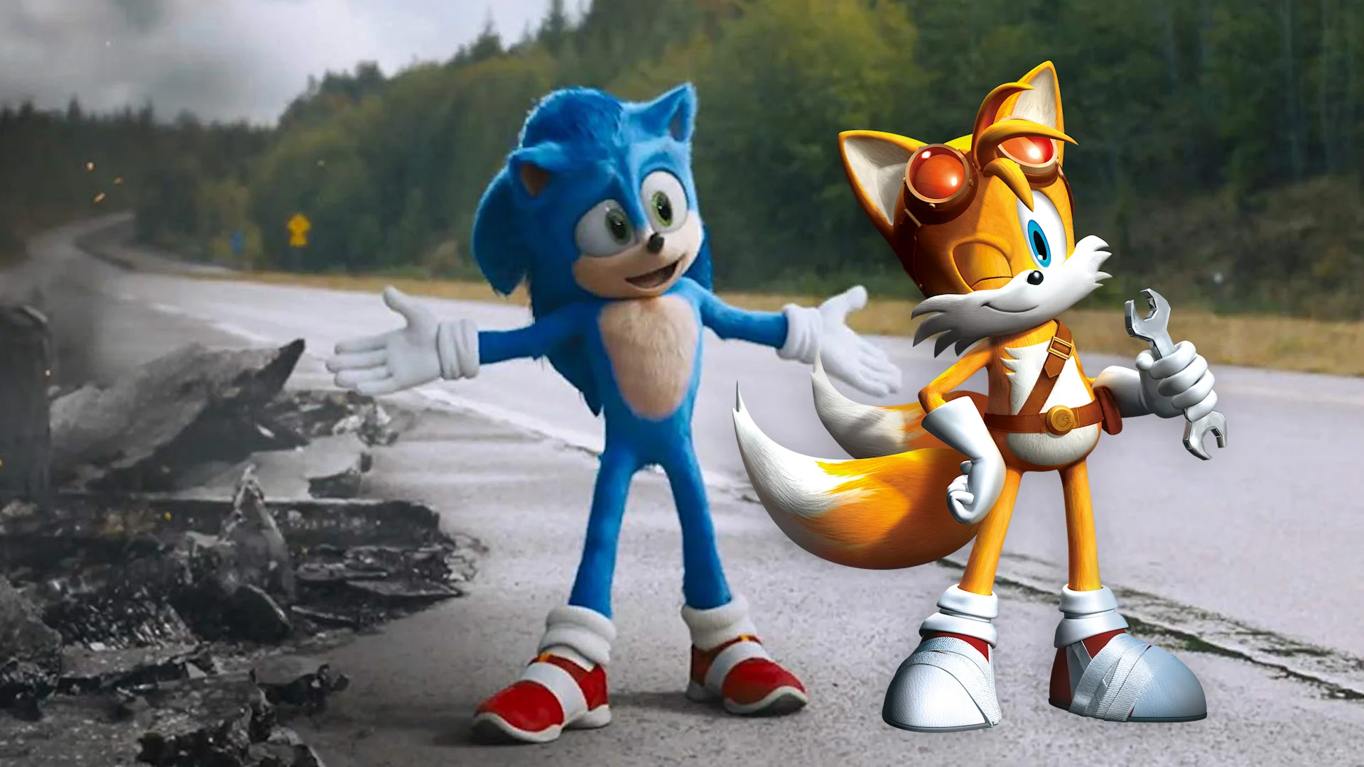 Nhím Sonic (Sonic The Hedgehog)