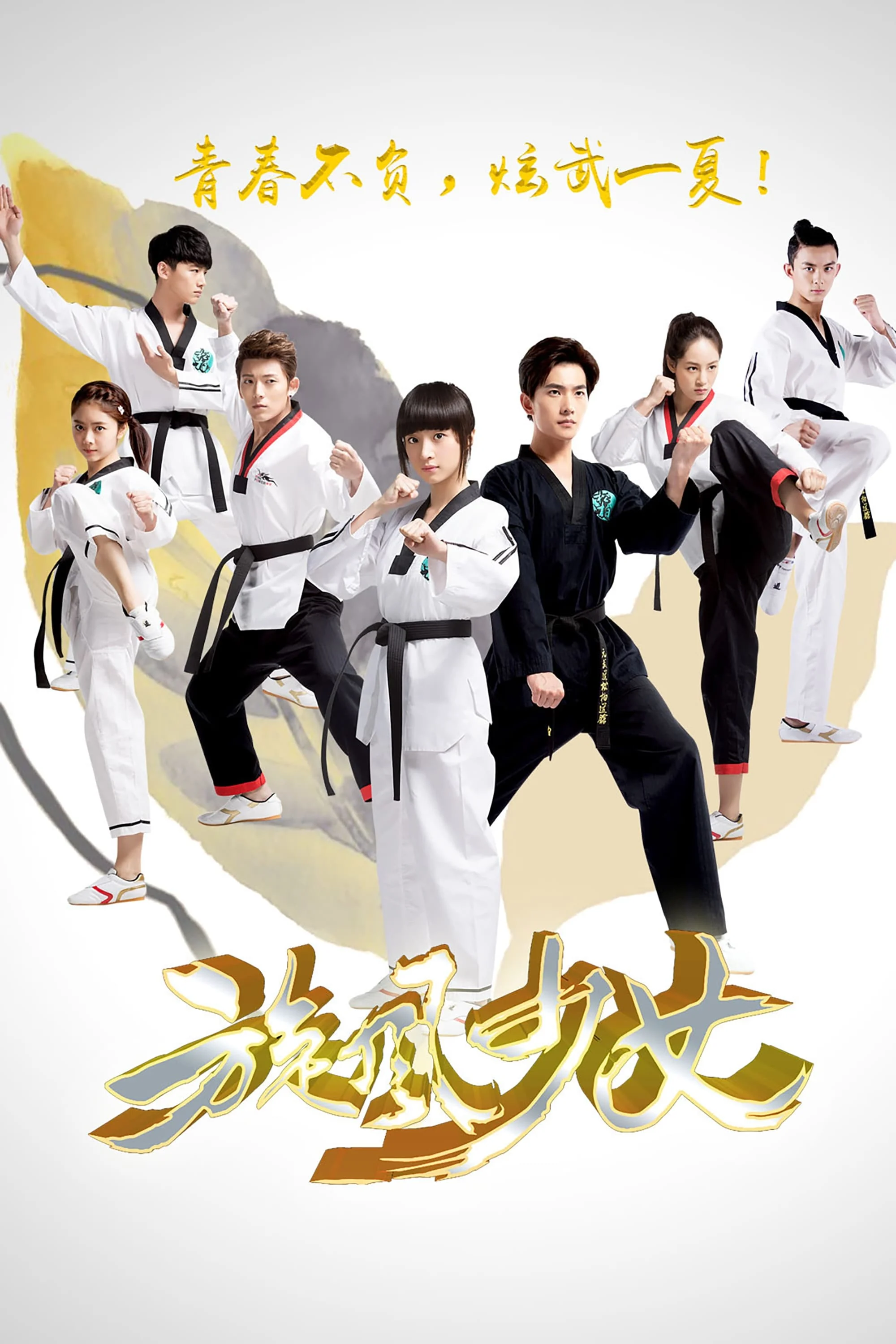 Poster phim Thiếu Nữ Toàn Phong