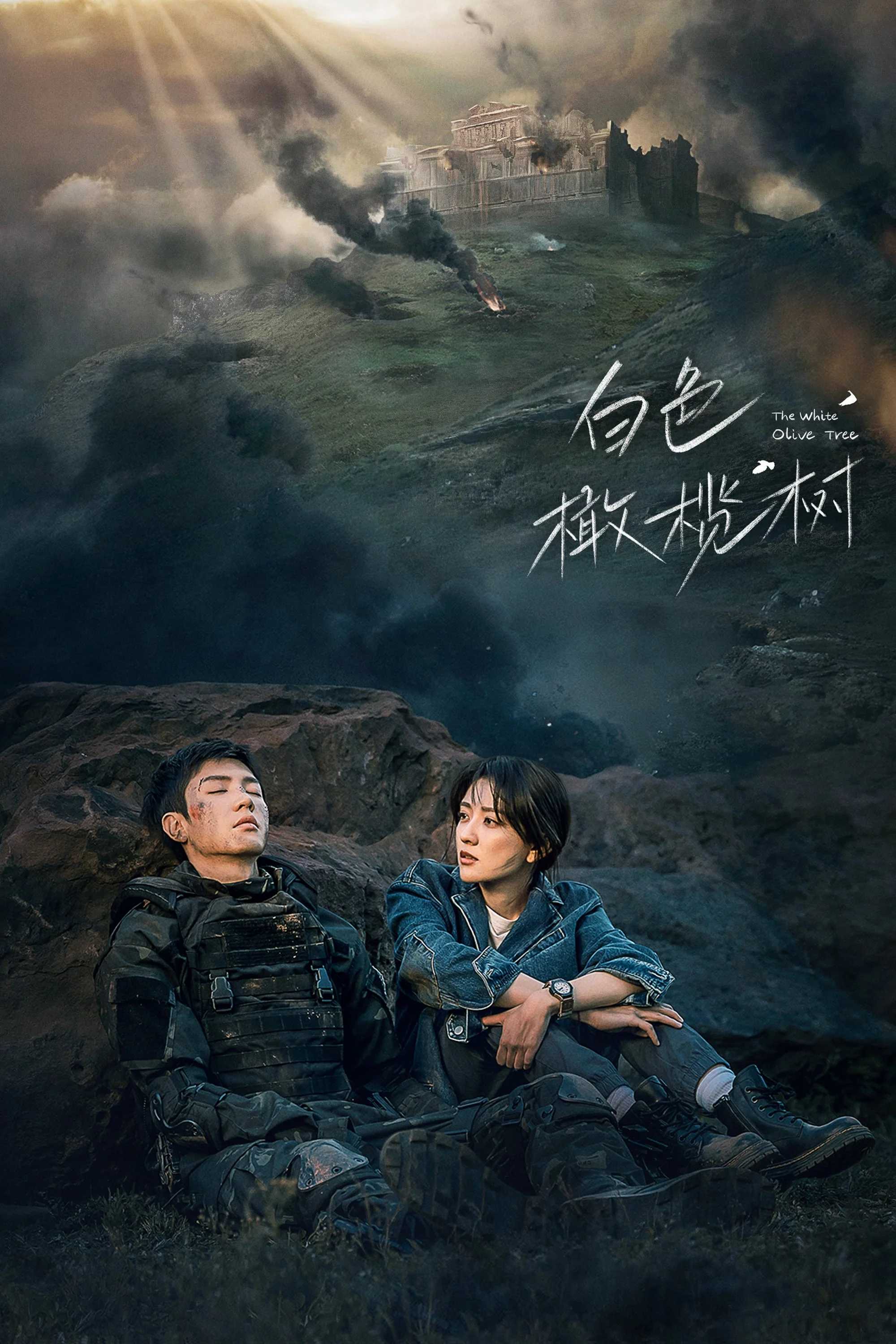 Poster phim Cây Ô Liu Màu Trắng