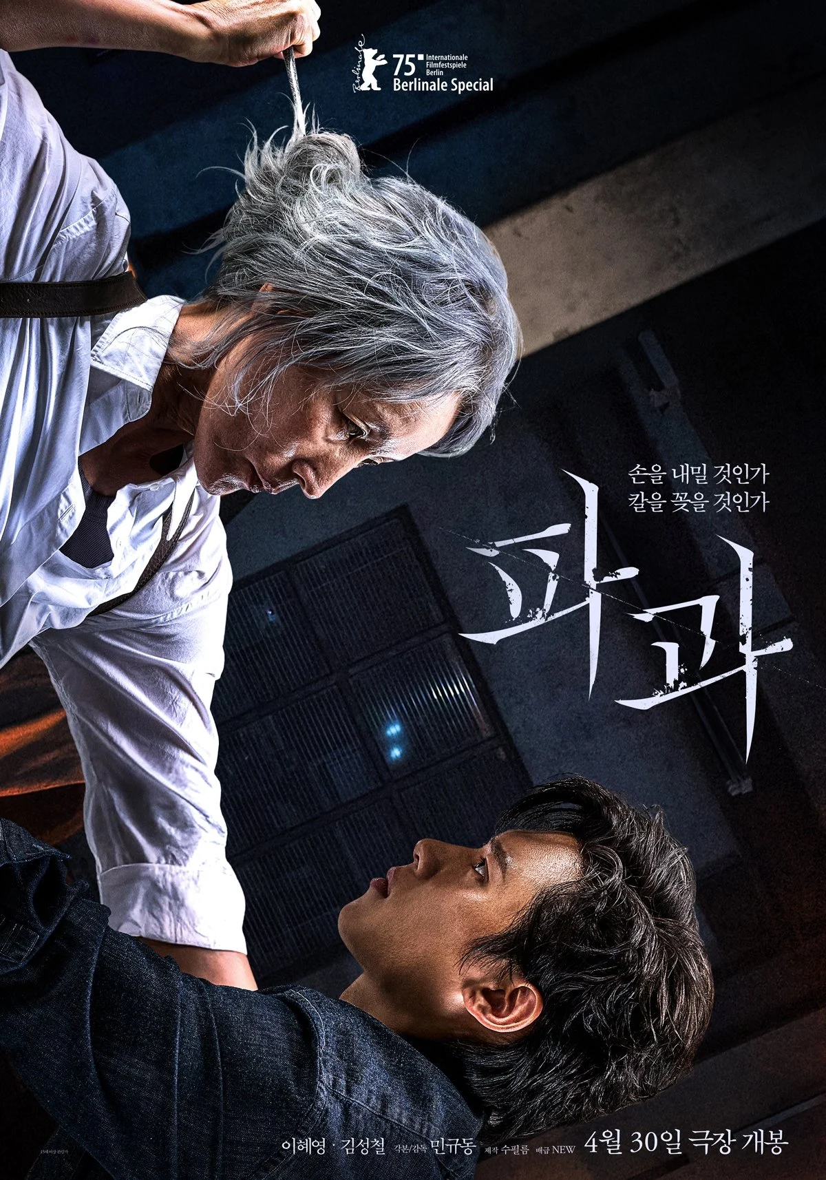 Poster phim Đại Mẫu
