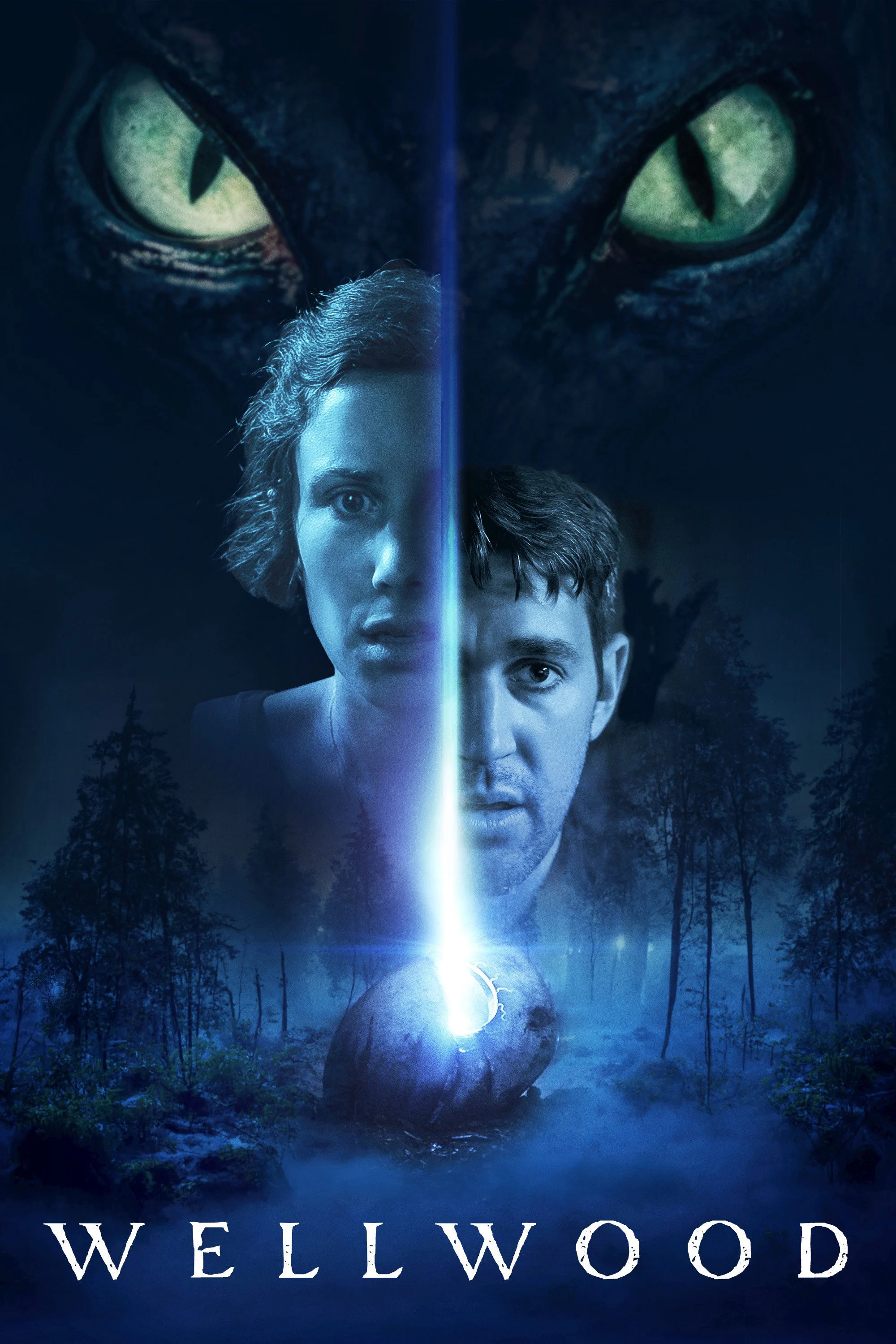 Poster phim Wellwood